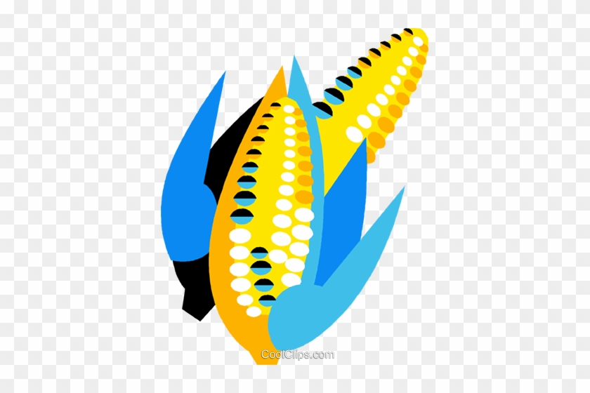 Cobs Of Corn Royalty Free Vector Clip Art Illustration - Cobs Of Corn Royalty Free Vector Clip Art Illustration #1594312
