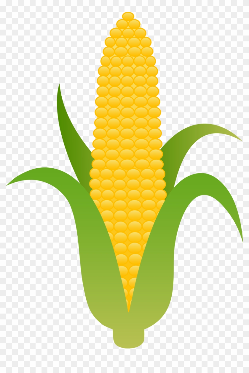 Corn Clipart Aztec - Ear Of Corn Clip Art #1594316