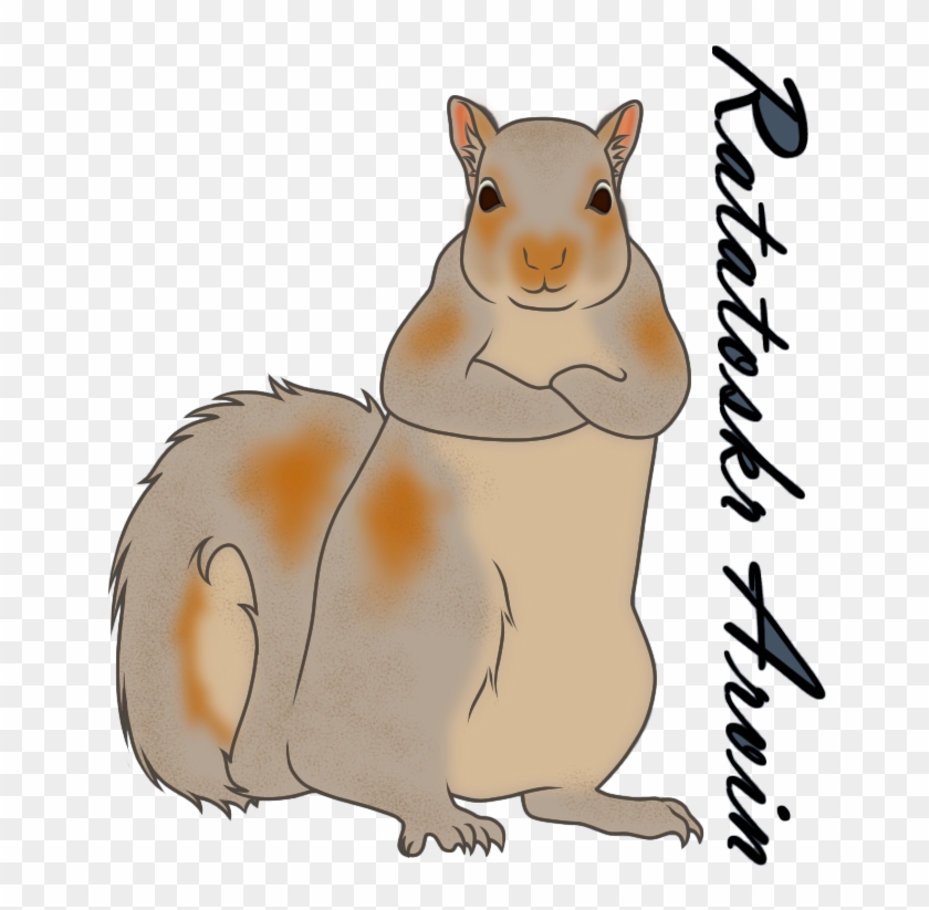 Ratatoskr Gender - Wombat #1594615