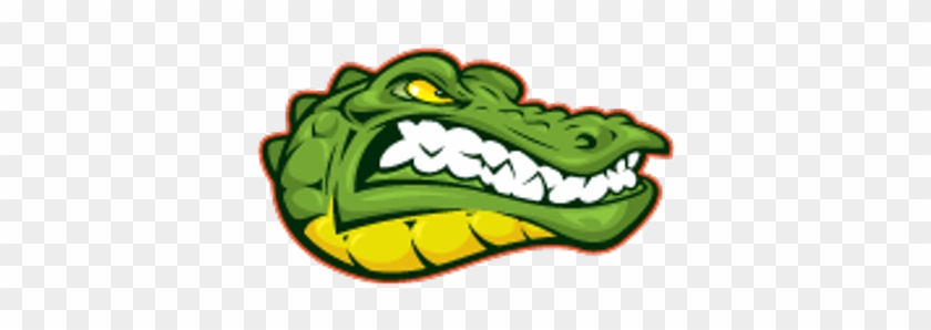 Gator Envy - Gator Cup #1595503