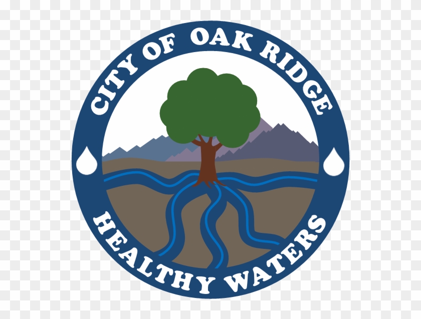 Healthy Waters Programs - Key Club International #1595535