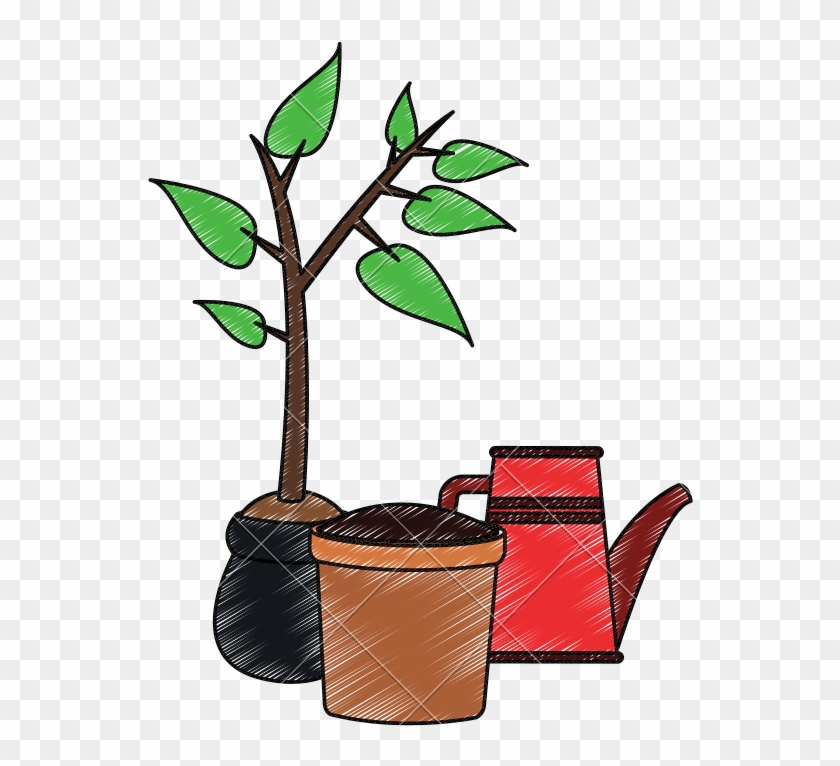 Plant With Pot And Water Can Scribble - Houseplant #1595576