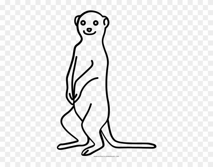 Image Black And White Stock Coloring Pages Page - Meerkat Line Drawing #1595600