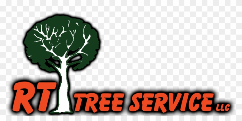 Rt Tree Service Pros - Broccoli #1595766