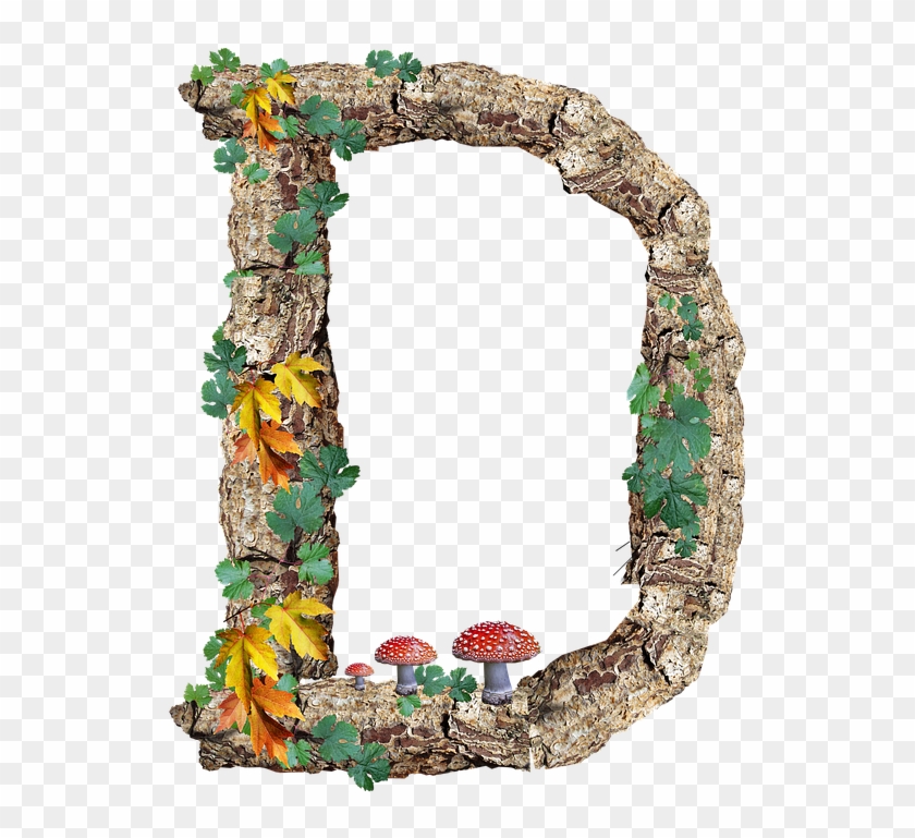 Alphabet, Letter, Rustic, Timber, Bark - Arch #1596118