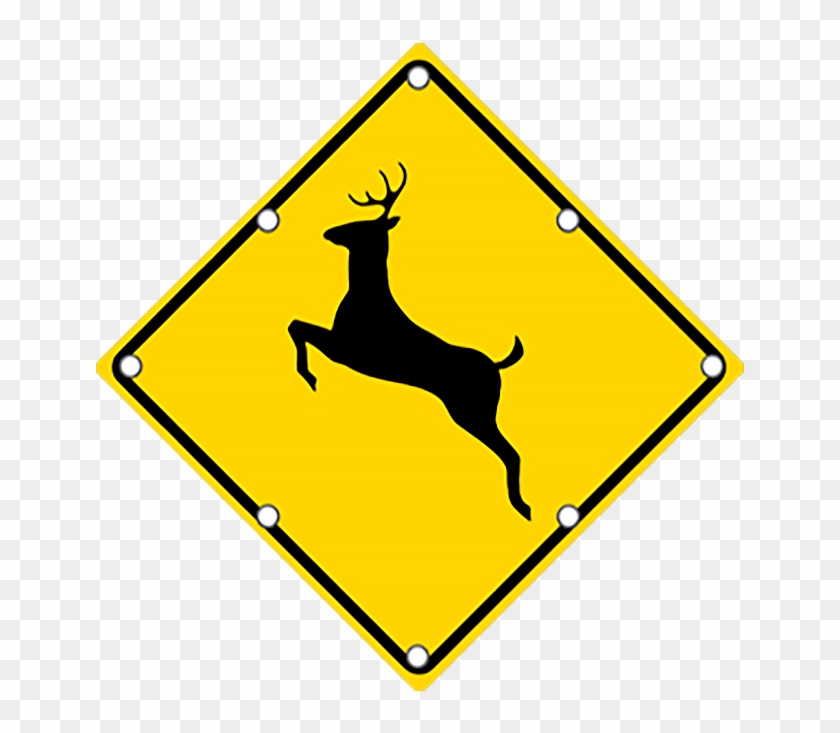 Ts40 Flashing Deer Crossing Sign Day - Traffic Signs For Animals #1596203