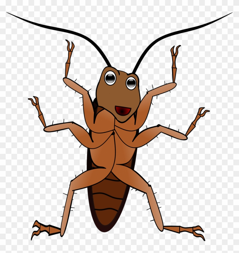 Insect-3091375 - แมลงสาบ การ์ตูน Png #1596408