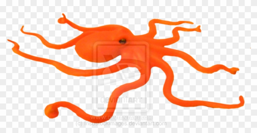 Octopus Png 2 By Irisustockimages On Deviantart - Octopus #1596431