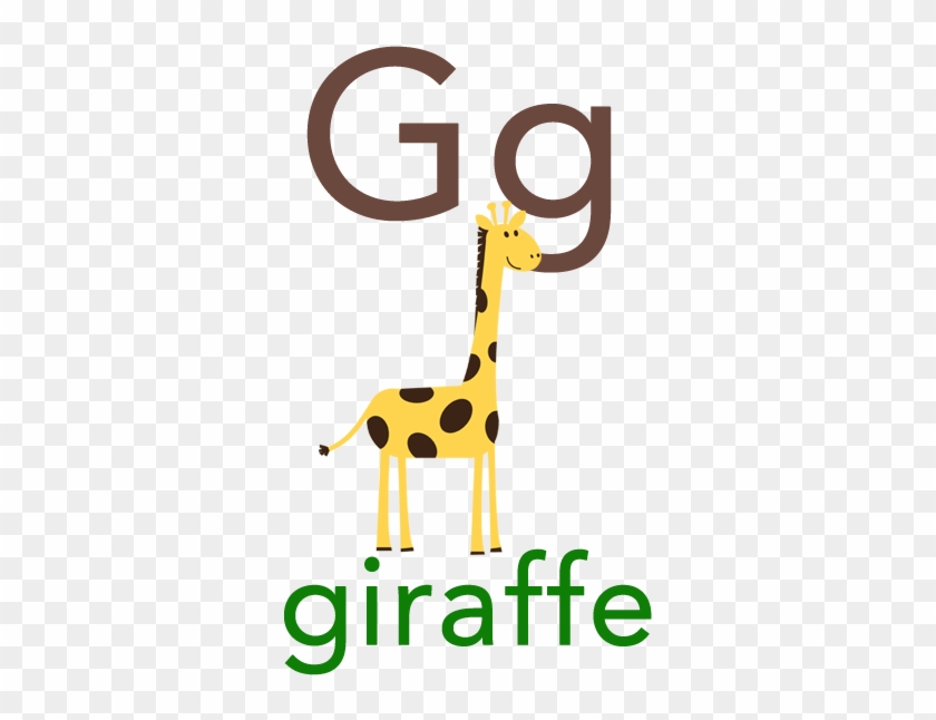 Baby Abc Flashcard - Giraffe #1596882