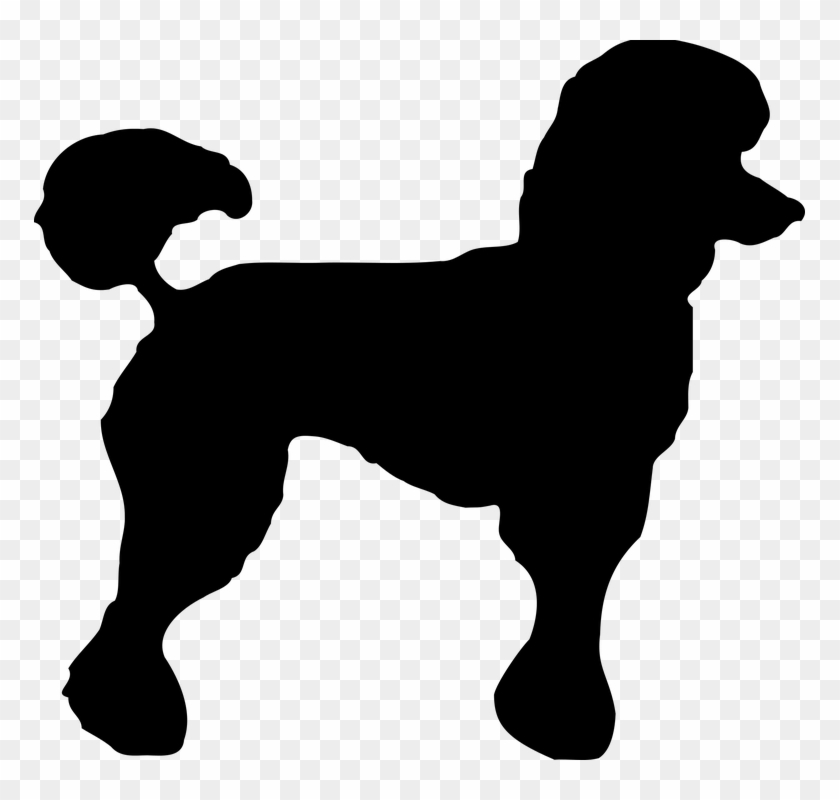 Poodle Clipart Transparent - Poodle Silhouette Png #1596914