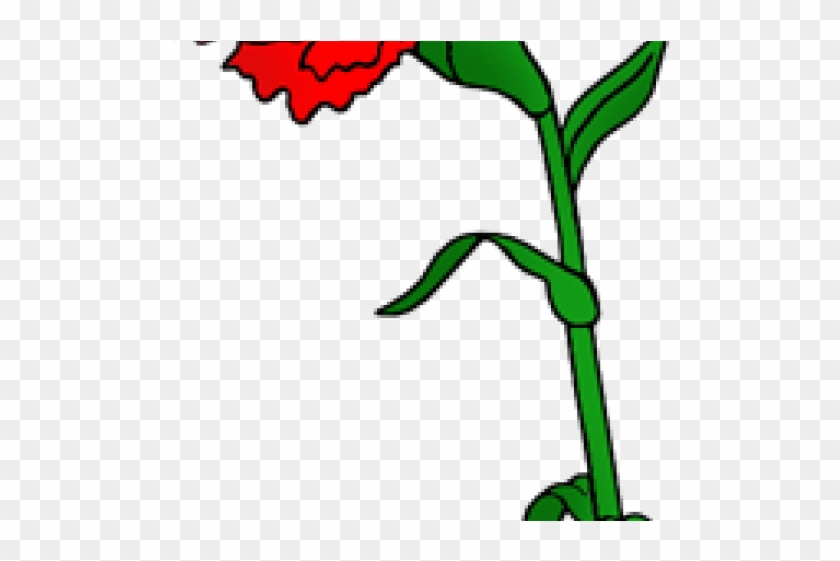 Carnation Clipart Ohio - Carnation Flower Clip Art #1596977