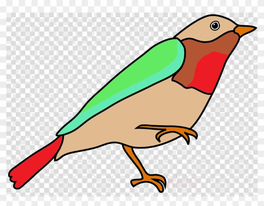 Simple Bird Drawing With Color Clipart Bird Drawing - Color Full Drawing Easy #1597925