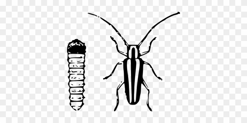 Download Computer Icons Graphic Arts - Wood Borer Clipart #1599341