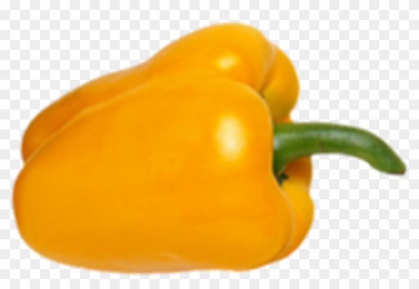 Habanero Bell Pepper Yellow - Yellow Habanero Peppers Png #1599440