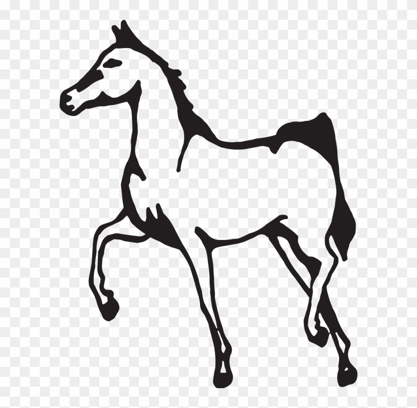 Horse #1599469