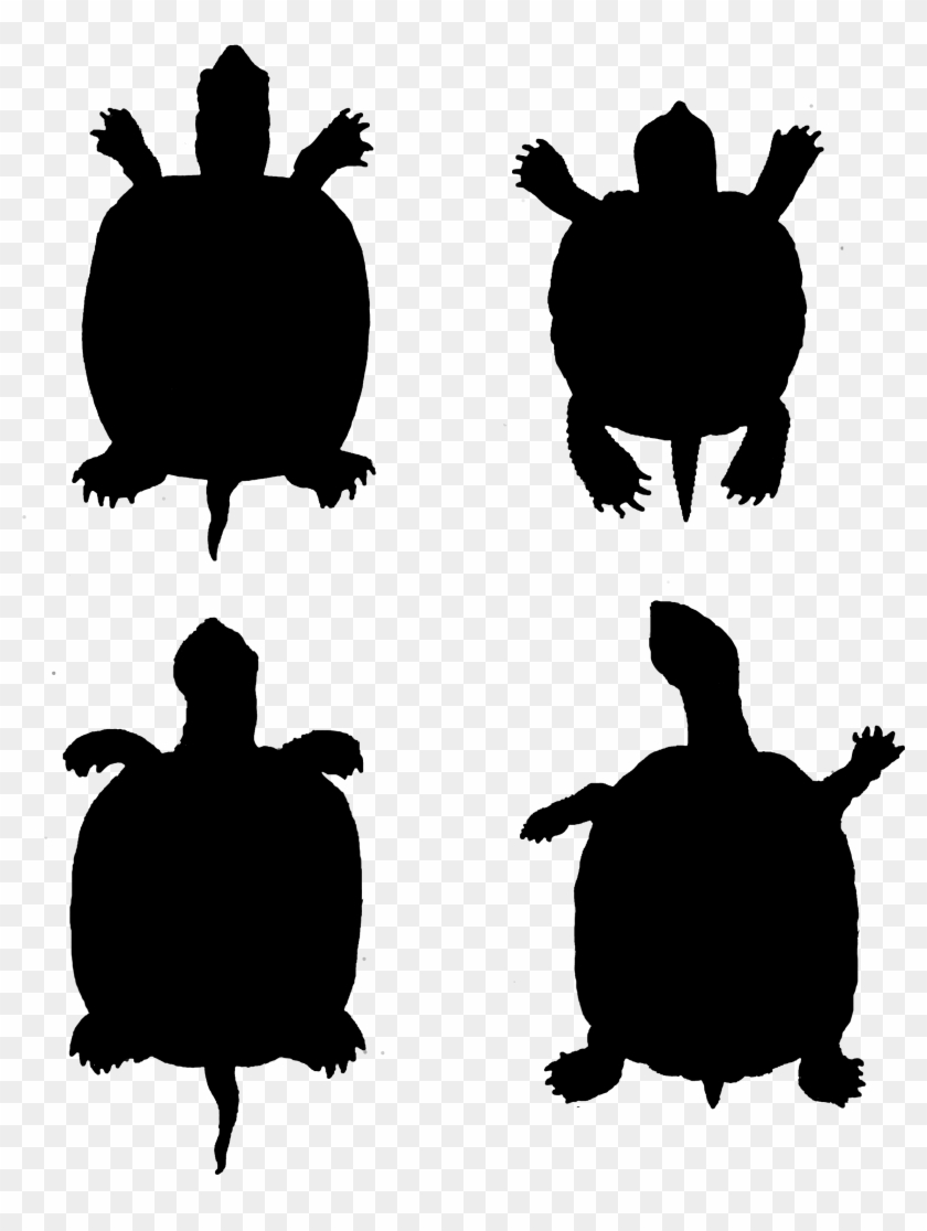2268 Turtle Silhouette Free Vintage Clip Art - Tortoise #1599488