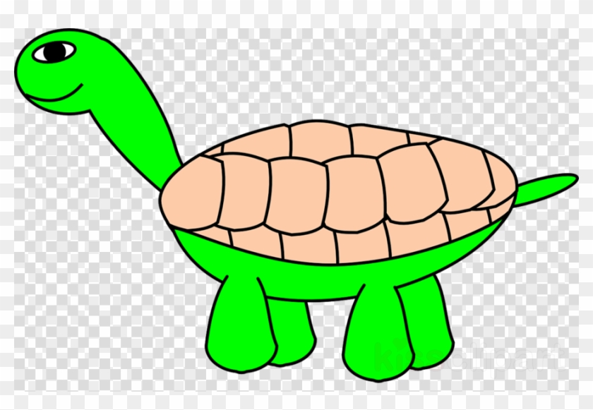 Cartoon Turtle Clipart Tortoise Turtle Reptile - Diwali Diya Png File #1599489