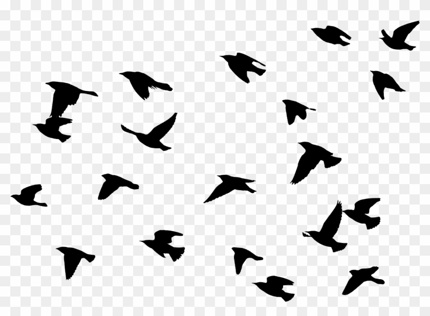 Flying Bird Png - Flock #1599642