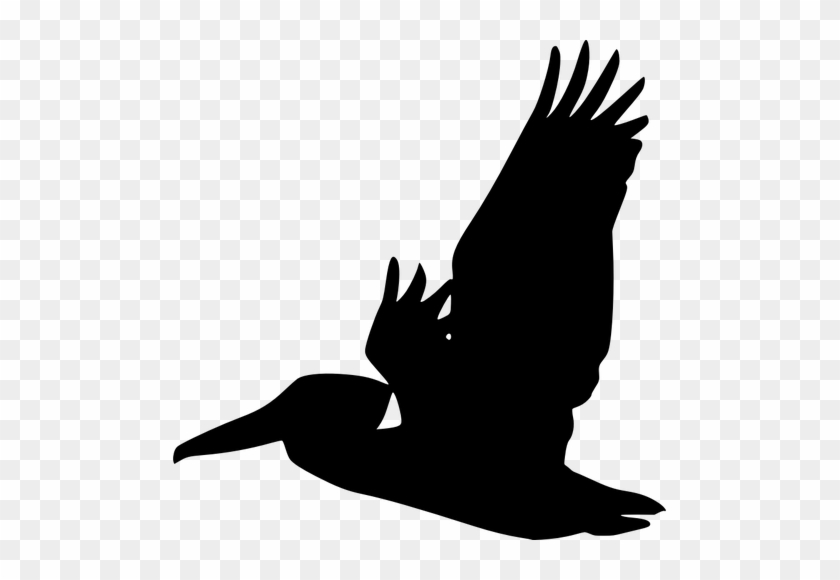 Flying Pelican Silhouette Vector Graphics - Pelican Silhouette #1599646