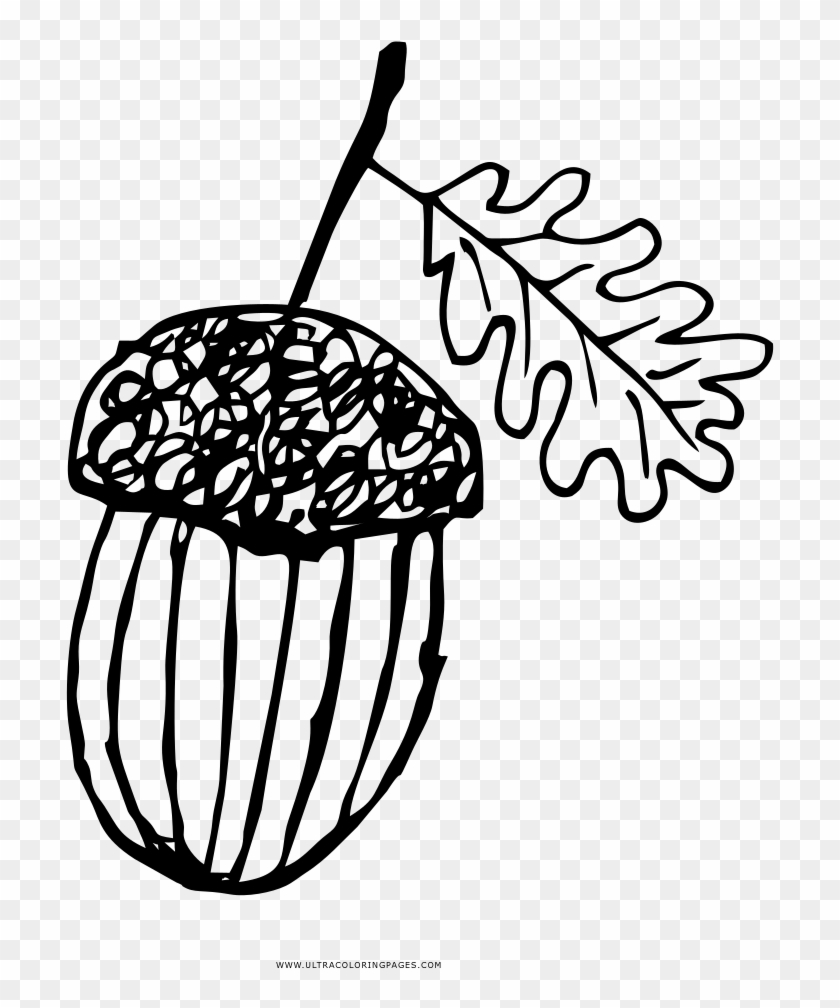 Acorn Coloring Page - Illustration #1600143