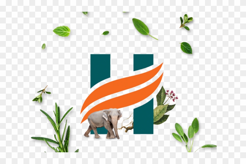 Himalaya Clipart Herbal Product - Himalaya Herbals #1600192