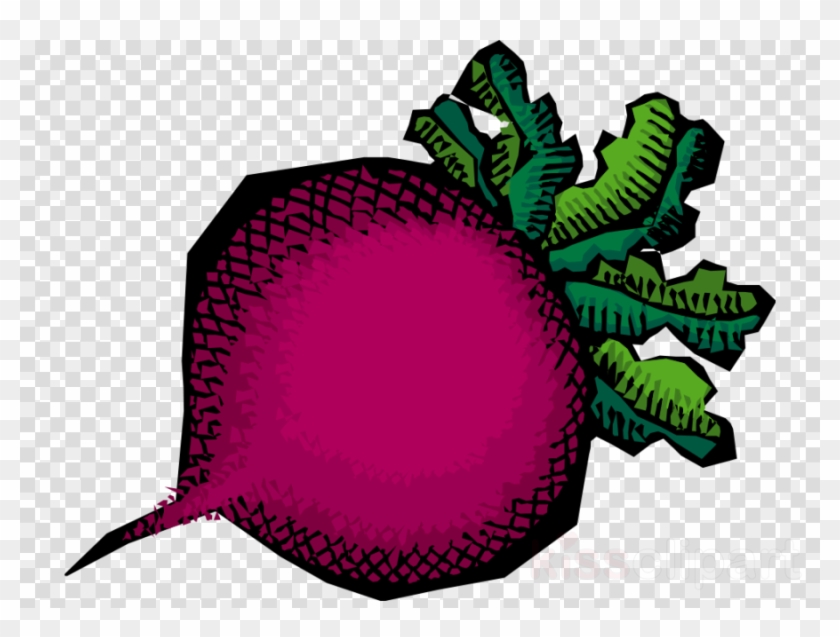 Vegetable Clip Art Transparent #1600503