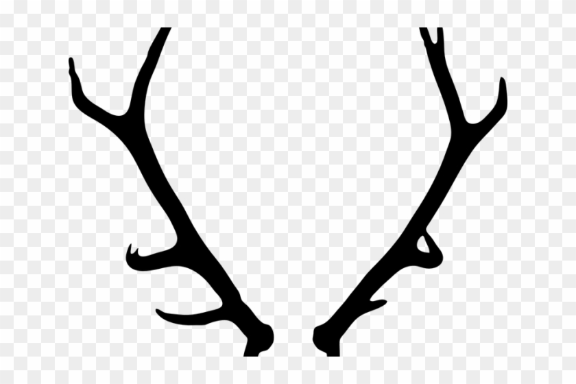 Horns Clipart Deer Antler - Transparent Background Antler Transparent #1600827