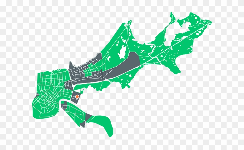 Image Description - New Orleans Vector Map #1600889