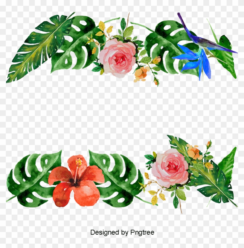 Vector Summer Flowers, Decoration, Frame, Lace Png - Garden Roses #1600988