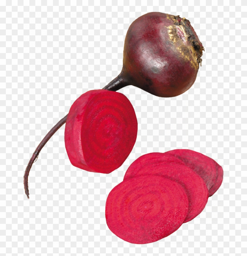 Purple Beet Head Slices - Свекла Png #1601187