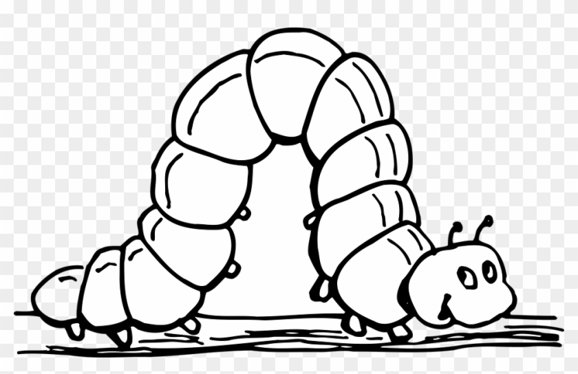 Caterpillar Clipart Ulat Buku - Inchworm Clipart Black And White #1601193