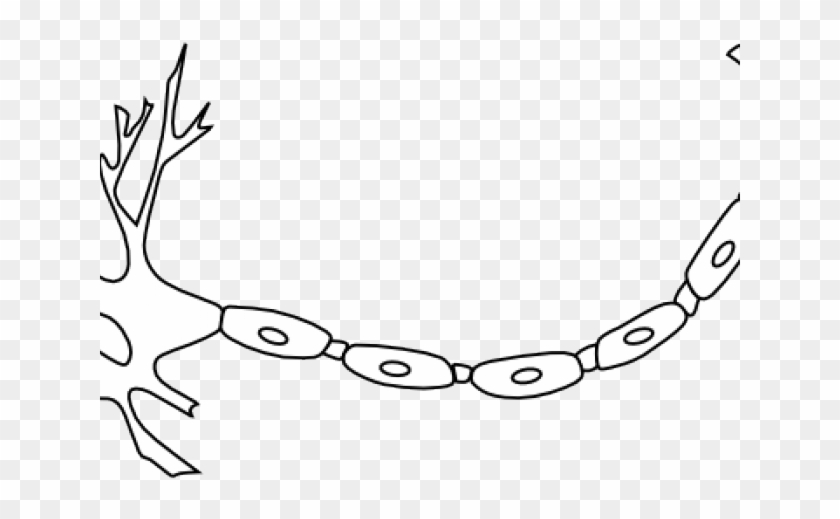 Neuron Clipart Black And White - Neuron Diagram #1602089