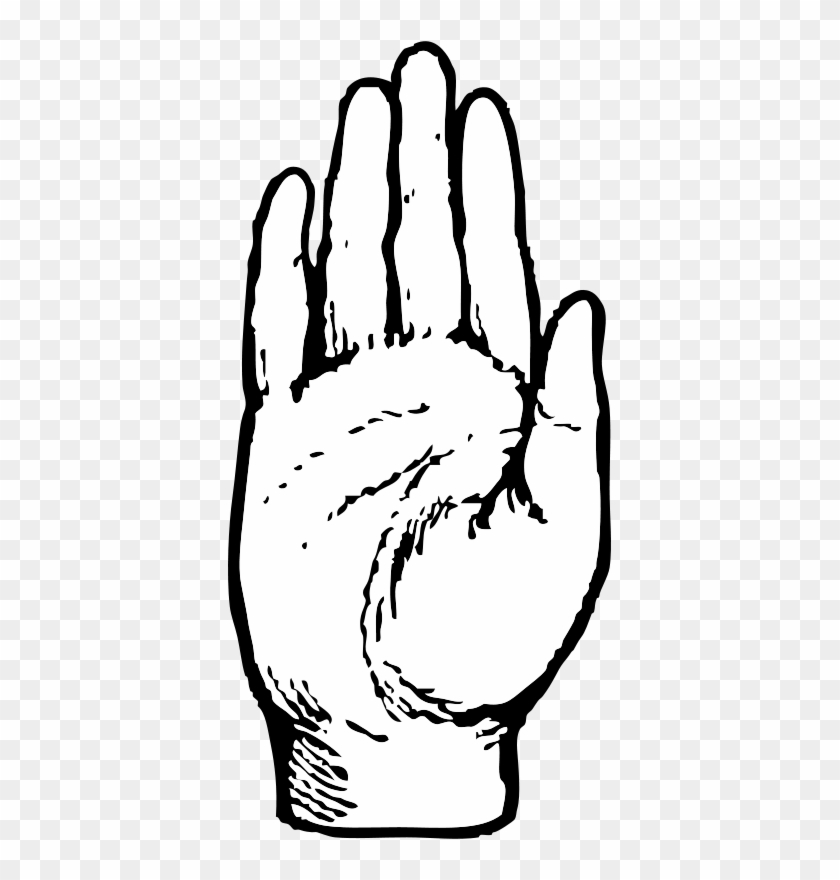 Right Hand Clip Art - Clip Art Hand Palm #1602446