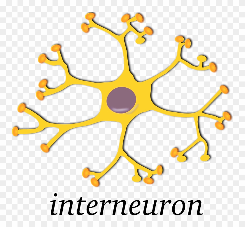 Free Smartphone Azerty Free Battery Free Neuron-interneuron - Brain Neurons Clipart #1602447