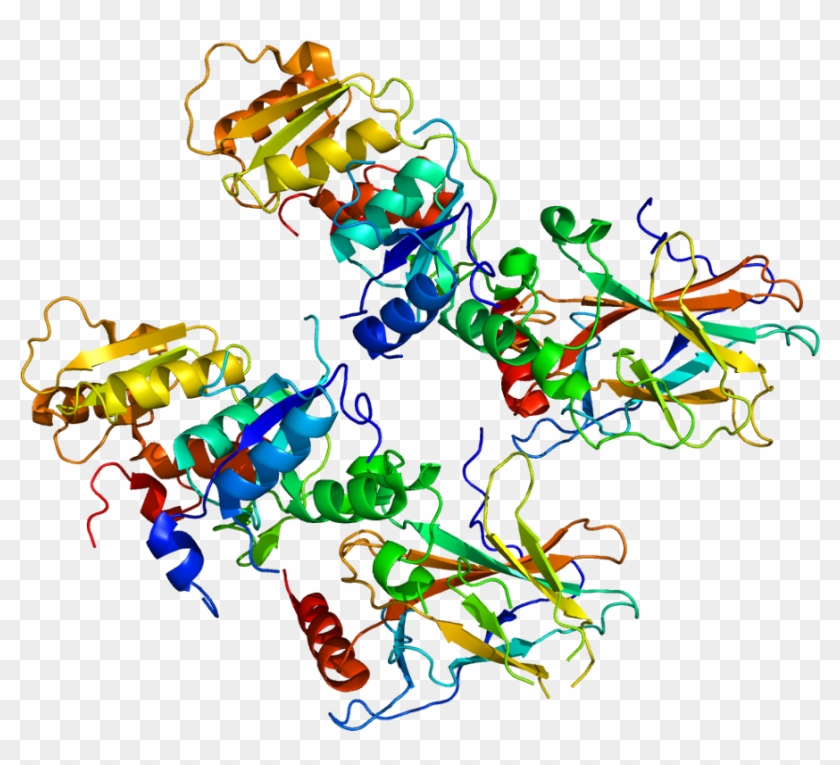 Protein Tp53bp1 Pdb 1gzh - 53bp1 Protein #1602450