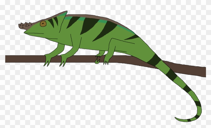 Long-nose Chameleon By Wildandnaturefan - Long-nose Chameleon By Wildandnaturefan #1602537