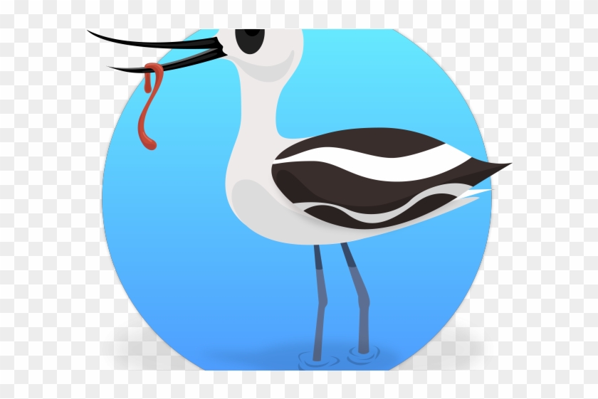 Tern Clipart Dictionary - Water Bird #1602555