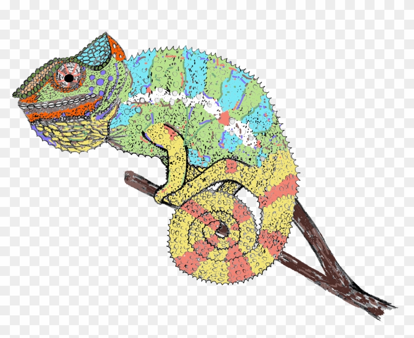 Chameleon - Chameleon Drawing #1602560