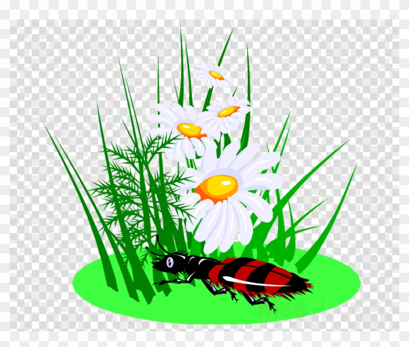 Beetle Clipart Floral Design Definition Dictionary - Hand Waving Png #1602571