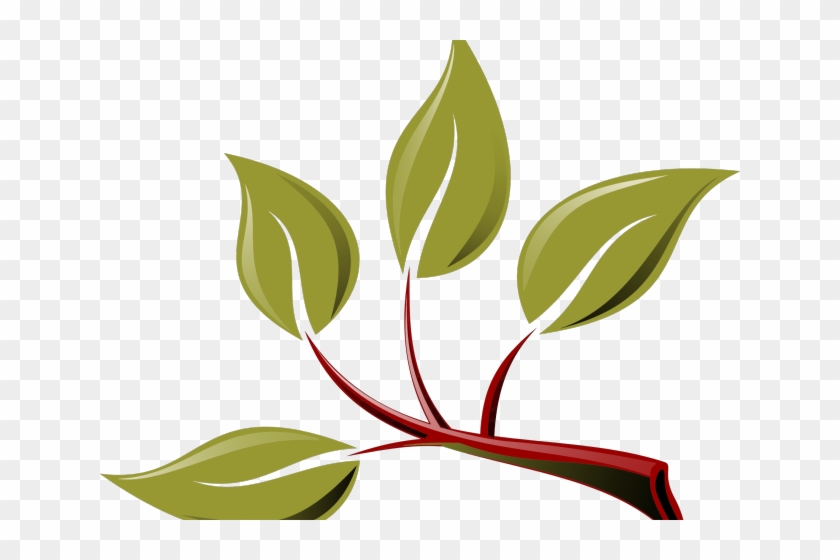 Leaves Clipart Branch - Branch With Leaves Clipart #1602588
