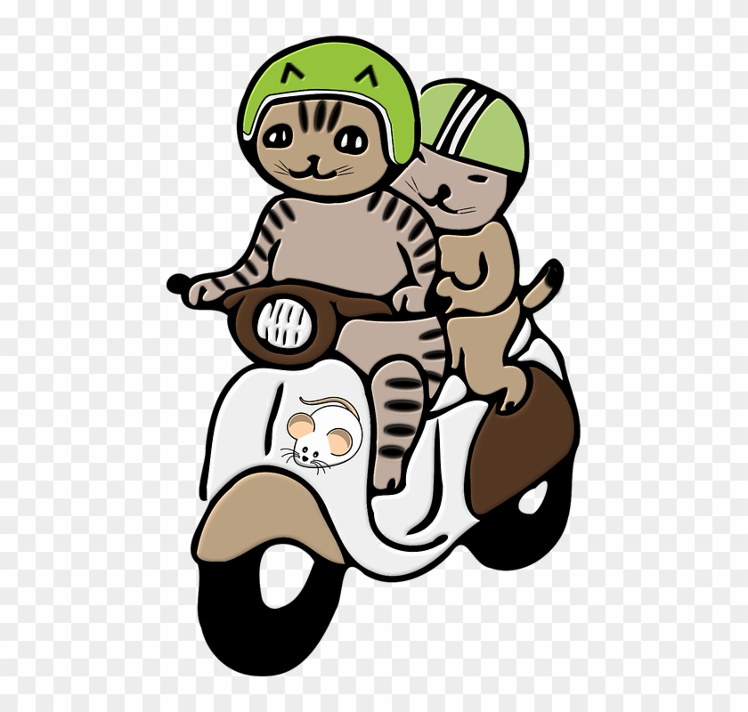 Cats, Helmet, Png, Scooter, Motorcycle, Headlights - Gato En Moto Dibujo #1602698