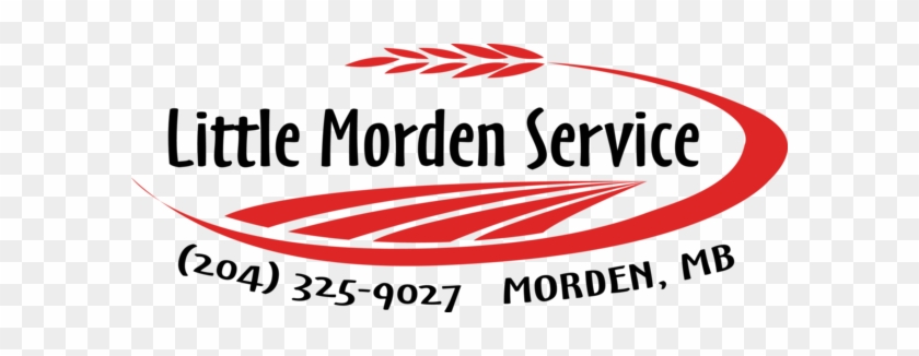 Image Result For Little Morden Service - Jardin Botanico De Cali #1602772