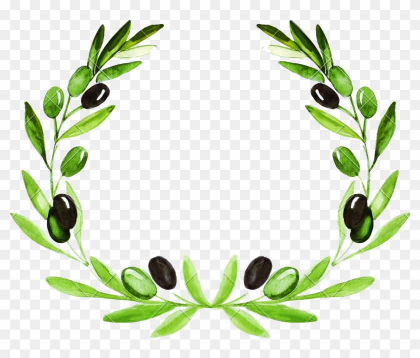 Olive Wreath - Olive Wreath #1602938