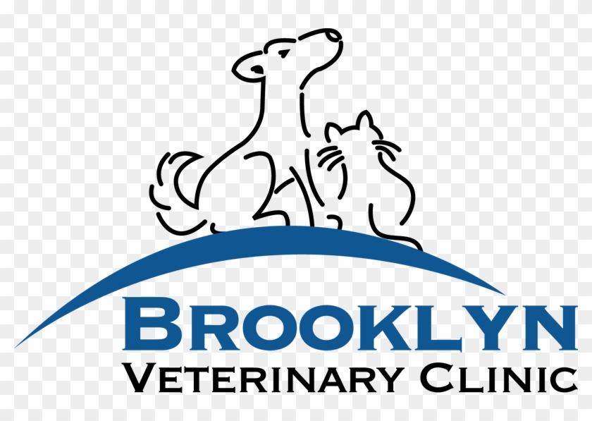 Brooklyn Veterinary Clinic, Castle Rock - Brooklyn Veterinary Clinic, Castle Rock #1603035