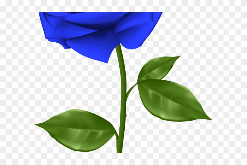 Blue Rose Clipart Red Rose Outline - Transparent Background Rose Png #1603101