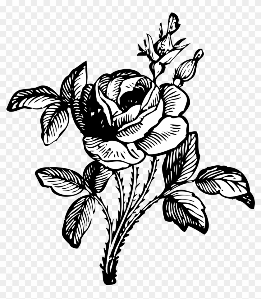 Large Size Of How To Draw A Simple Easy Rose Drawing - Flowers Black And White Png #1603106