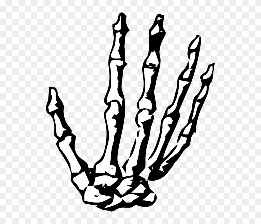 Skeleton Hand No Background #1603298