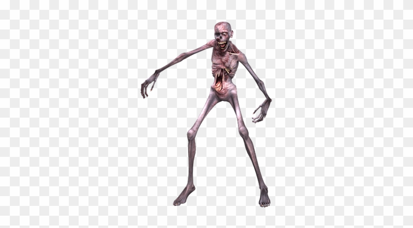 Zombie Skeleton - Scary Man No Background #1603320