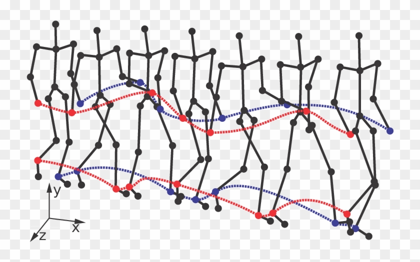 Skeleton Is Represented By A Stick Figure Of 31 - Skeleton Is Represented By A Stick Figure Of 31 #1603322