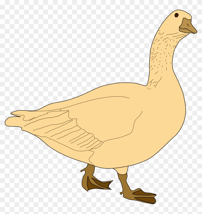 The Clipart Short Story Summary - Golden Goose Vector #1603567